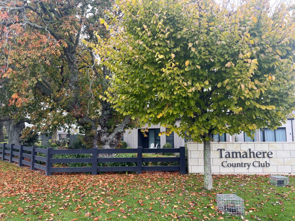 Interlock Fencing for Tamahere Country Club - Beams & Timber