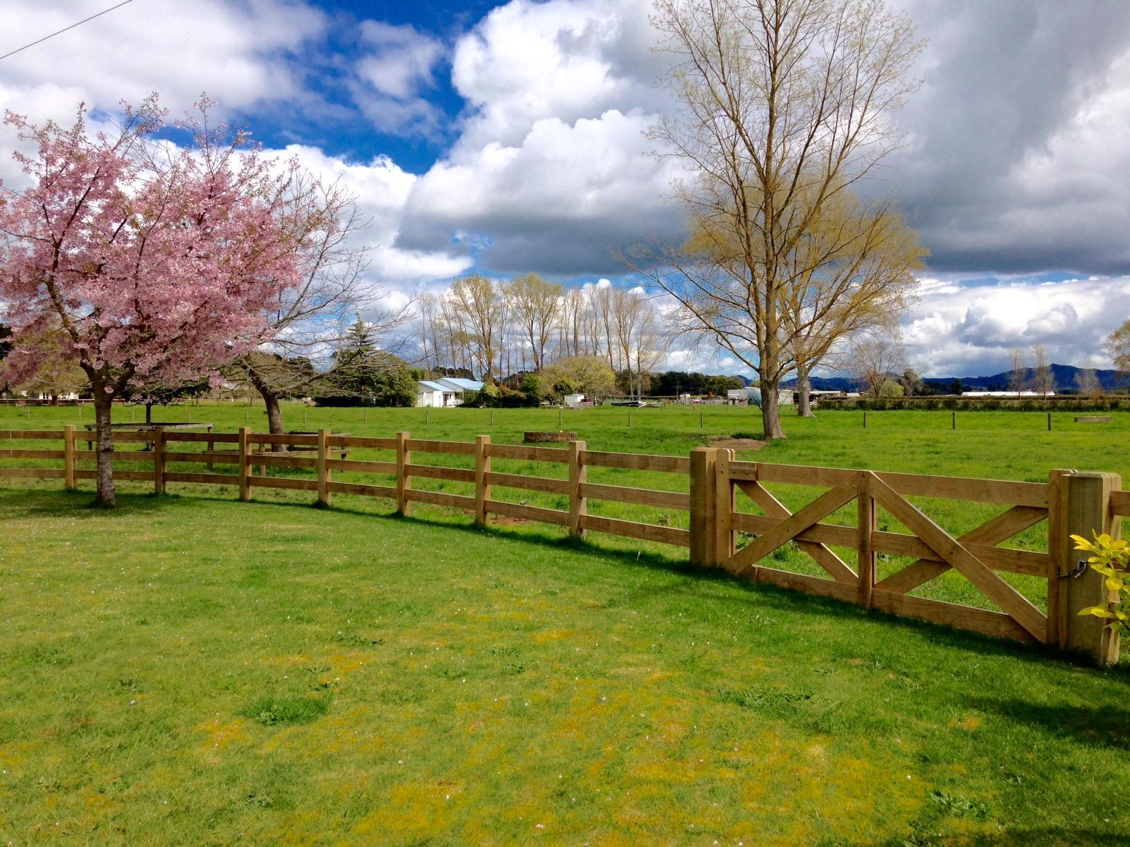 timber gates
